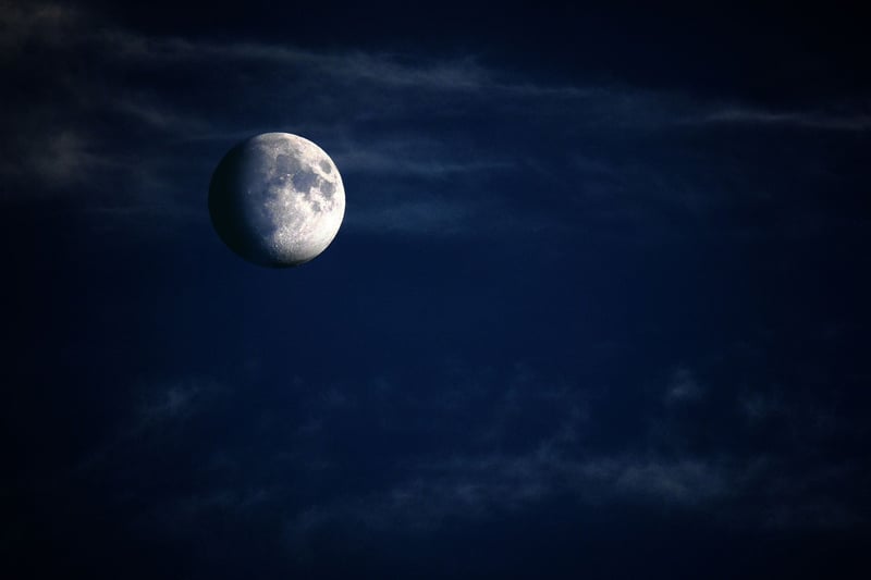 Moonlit Night